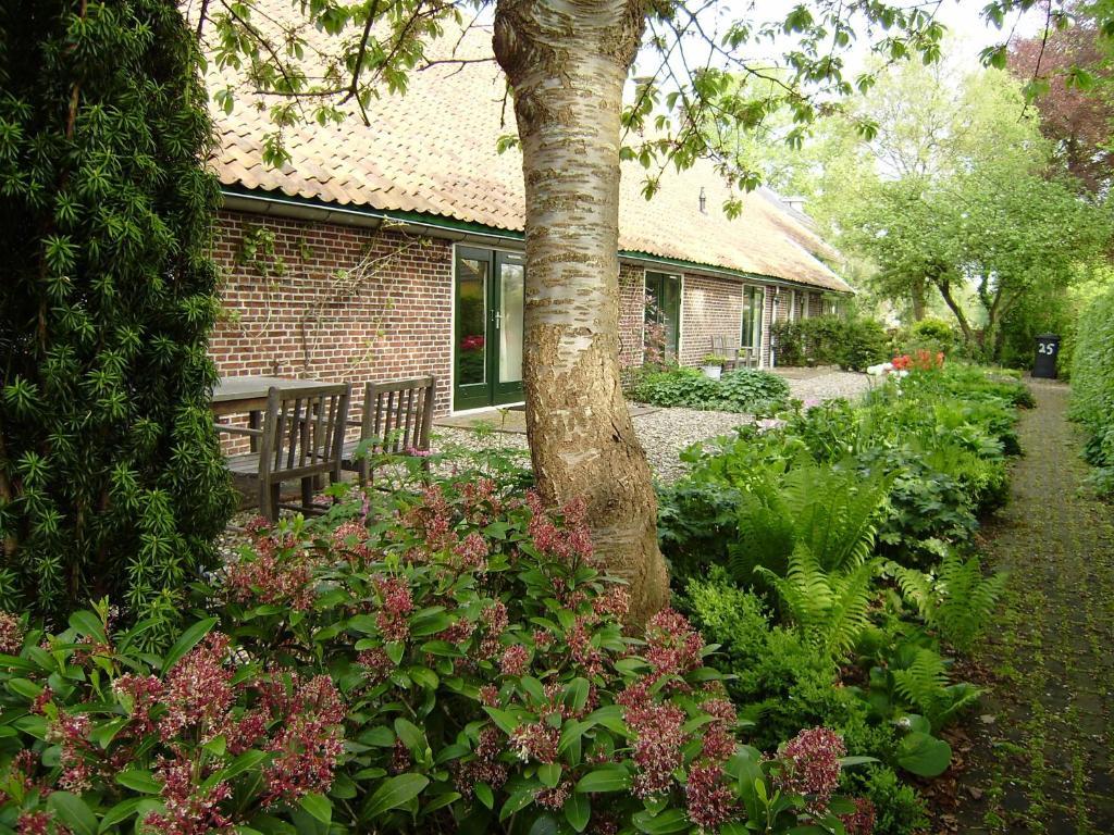 Bed & Breakfast Uiterburen Zuidbroek Екстер'єр фото