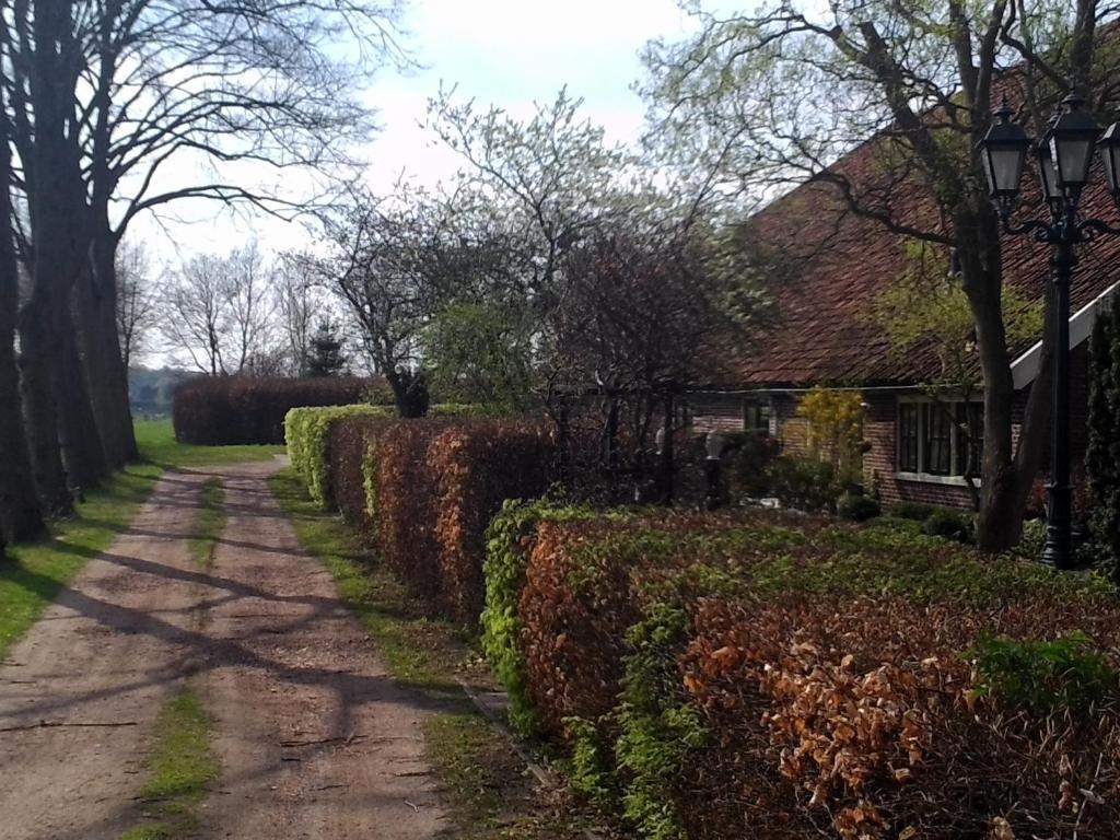 Bed & Breakfast Uiterburen Zuidbroek Екстер'єр фото